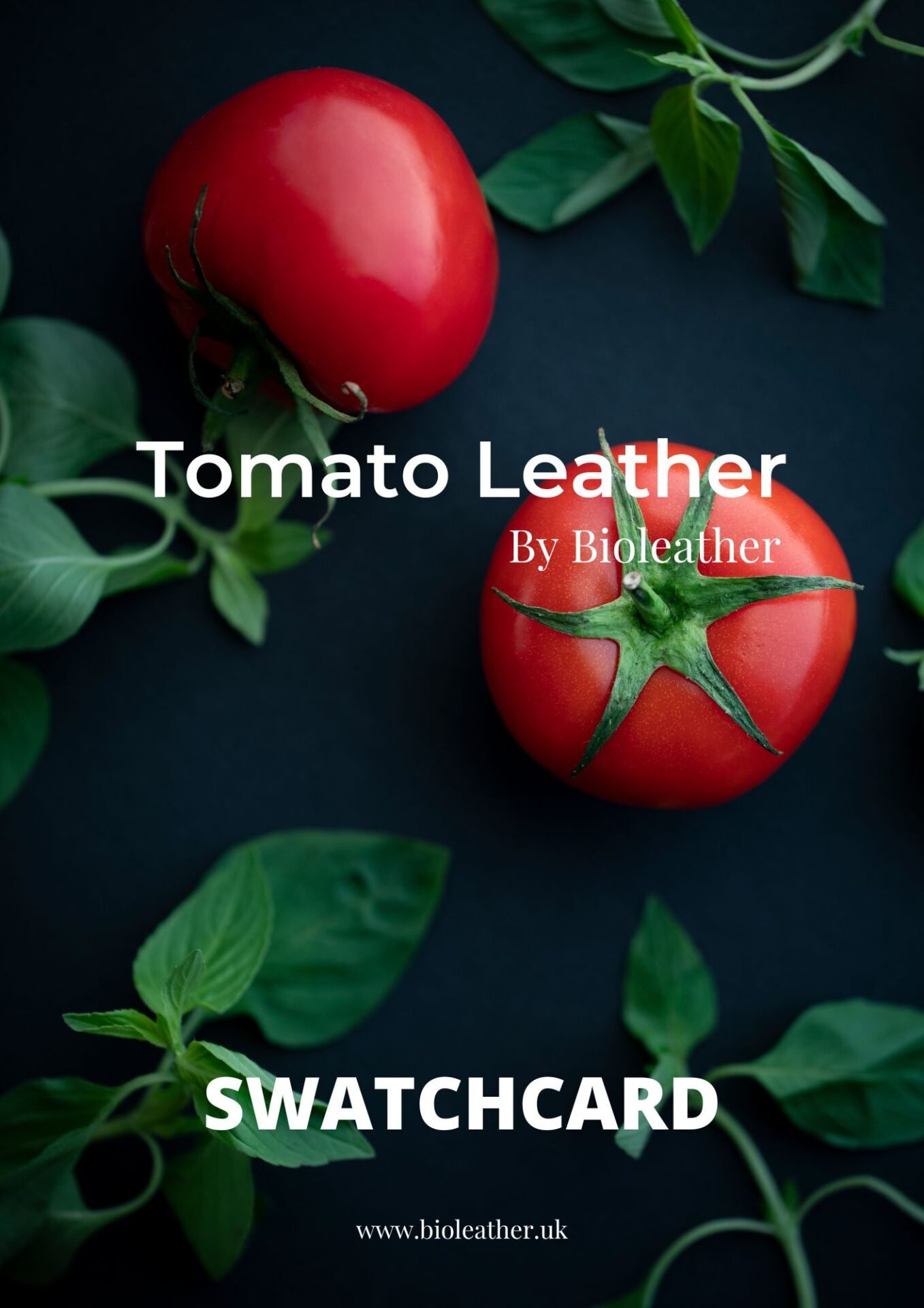 Tomato Leather Cataloge 2022