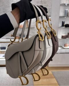 Dior-Saddle-Bag