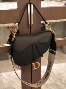 Dior-Saddle-Bag
