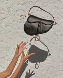 Dior-Saddle-Bag