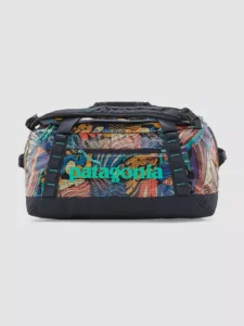 patagonia-bag