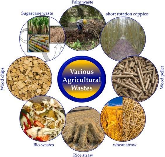 Diagram titled 'Various Agricultural Wastes' surrounded by images of different waste types, including sugarcane waste, palm waste, short rotation coppice, wood pellets, wheat straw, rice straw, bio-wastes, and woodchips, representing different sources of agricultural waste.