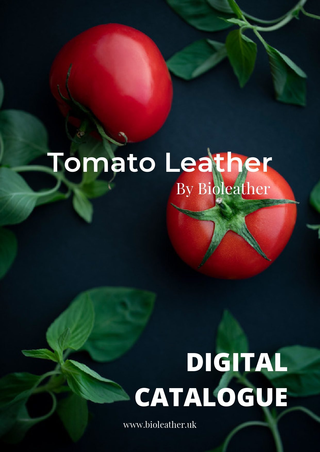 Tomato Leather - Digital Catalogue